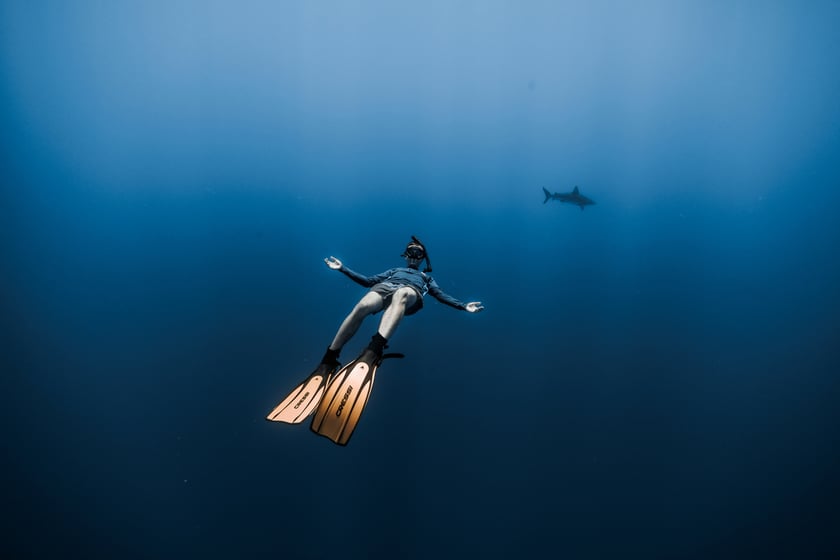Hawaje, freediving, czyli nurkowanie bez butli - z rekinami